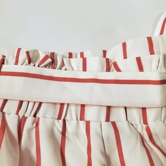 Plus Size Pink Pinstriped Shorts▪︎2x - Picture 7 of 9